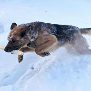 ����: �������� � 40��������