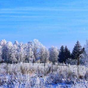 ����: ���� ����� � �����