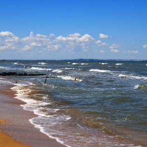 ����: �����-����������� �����