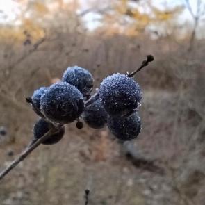 ����: ����� �� ������