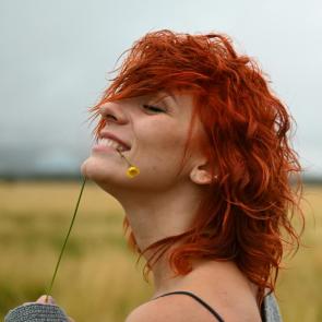 ����: �����