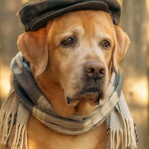 ����: � ����� ����