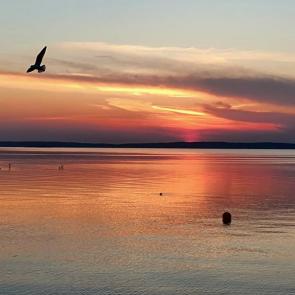 ���� ��������: ����� ��  �������� ����� 