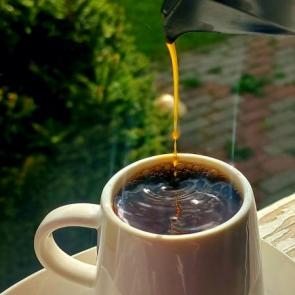 ���� ��������: 