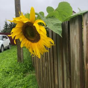 ����: ��� ��� � ��� �������?