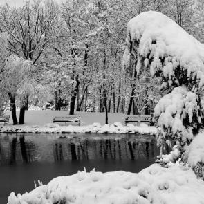 ����: � ������ �����