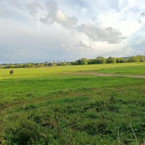 ����: ������ ����