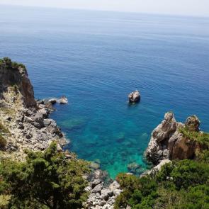 ����: ����� �������������