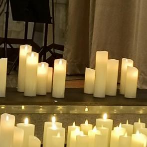 ����: �����