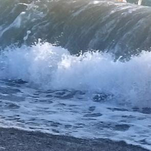 ����: ������  ����