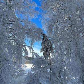 ����: � ���������