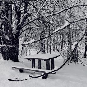 ���� ��������: 