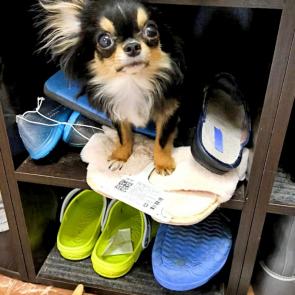 ����: � ��� ������� ���?