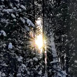 ����: ������ ������