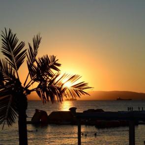 ����: ����