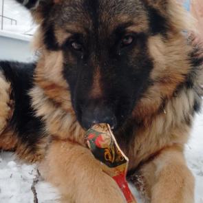 �� ����� �����