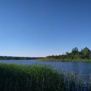 ����: ��� �� ����