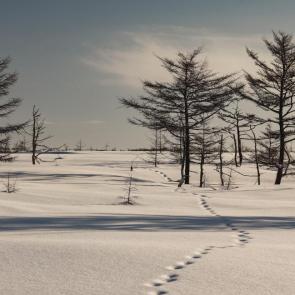 ����: �� ������ �����