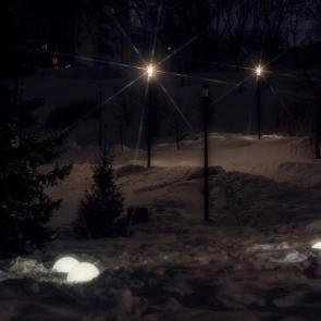 ����: ������