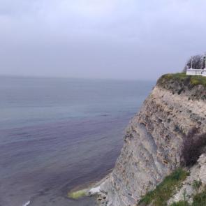 ����: ����� ���������