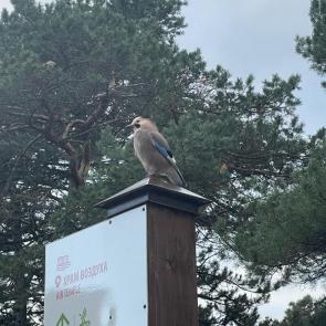 ����: �����