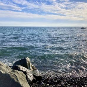 ����: ׸���� ����