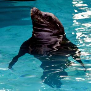 ����: �������� ������?