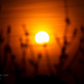 ����: ������ �� ��������