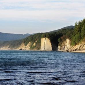 ����: ����� ��������