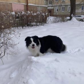 ����: ����� �������!