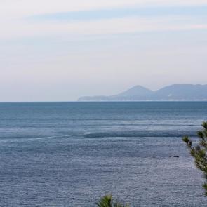 ����: ������