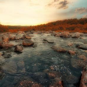 ����: ������.