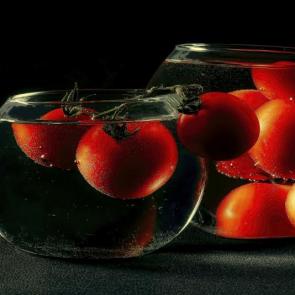 ����: ���������.