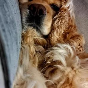 ����: ������������