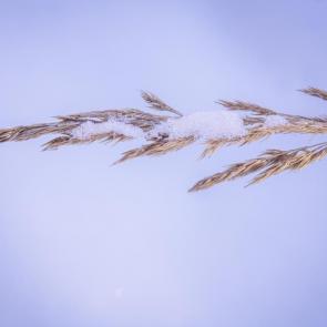 ����: ��� ������