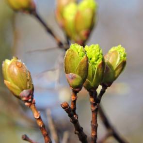 ����: �������� �������� 