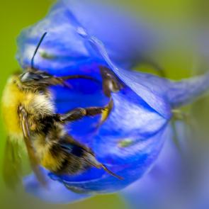 ����: ������� ������