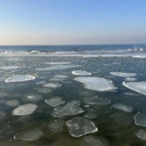 ����: ���� ������� ������  