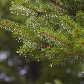 ����: ��� � ������ �����