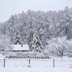 ����: ����