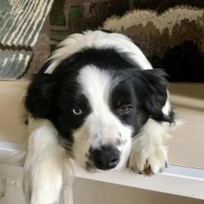 ����: �������������!