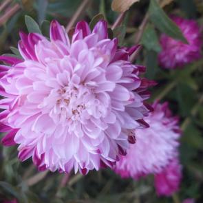 ����: ������ �������� ������� �����