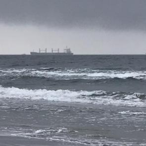 ���� ��������: 