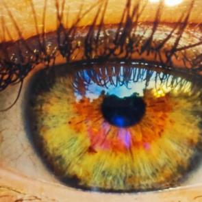 ����: ���� ���! 