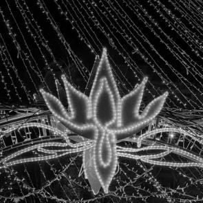 ���� ��������: 