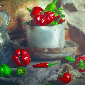 ����: ������-������� ���������.