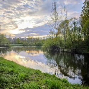 ����: �������� �����