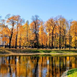 ����: �������� ����