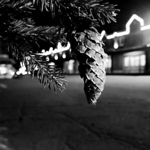 ���� ��������: 