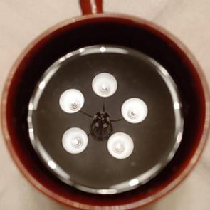 ����: ������ � �����